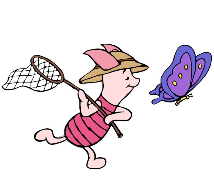 Butterfly Chase